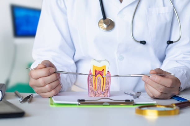 Best Emergency Root Canal Treatment in Nixon, PA